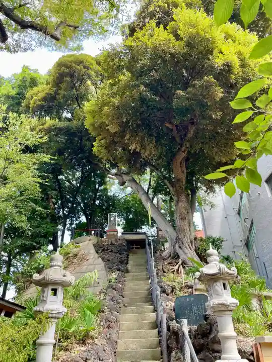 岩山稲荷神社(千葉県)