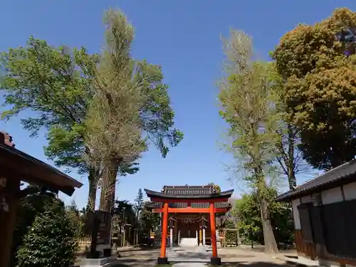 足立神社の鳥居