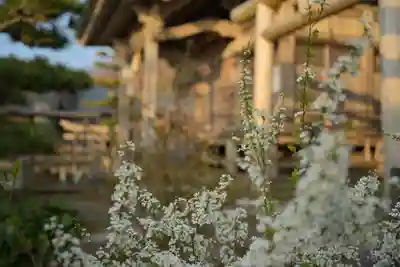 白山媛神社(新潟県)