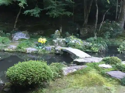 法然院の庭園