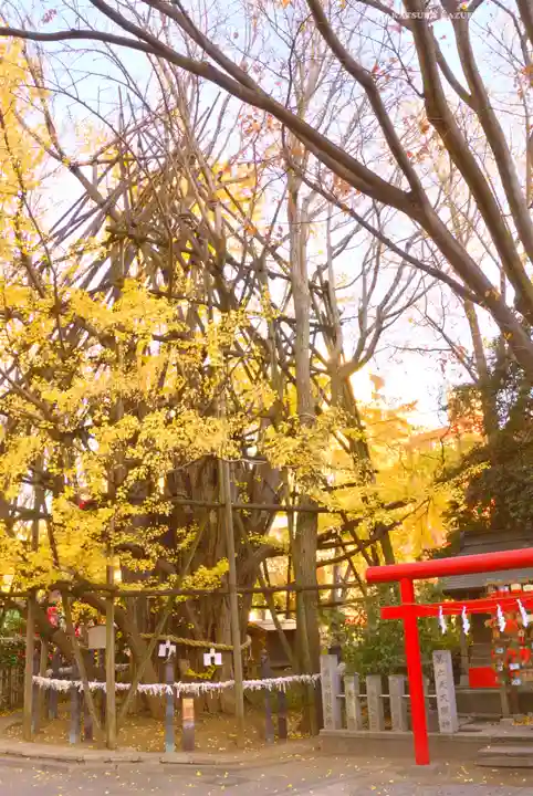 稲毛神社(神奈川県)