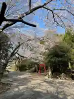 西光寺(相持院)の自然