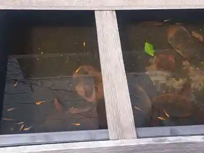 観音寺(福岡県)