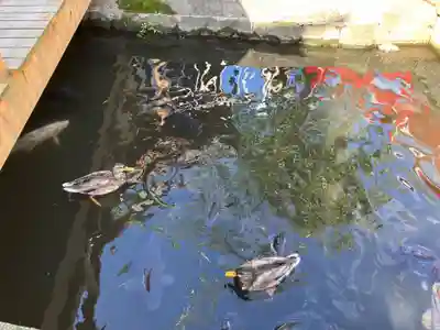 善知鳥神社(青森県)