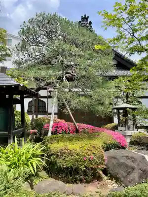 正覚寺(東京都)