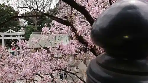 瀧泉寺（目黒不動尊）の自然