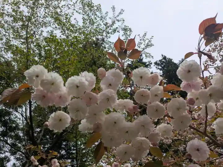 成相寺(京都府)