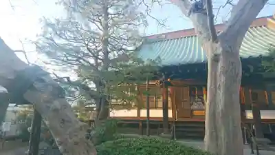 妙隆寺(静岡県)