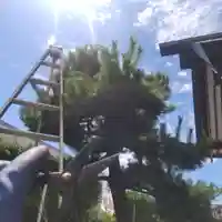 七重浜海津見神社(北海道)