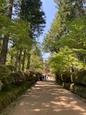 壇上伽藍(和歌山県)