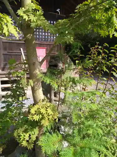 雲仙温泉神社(長崎県)