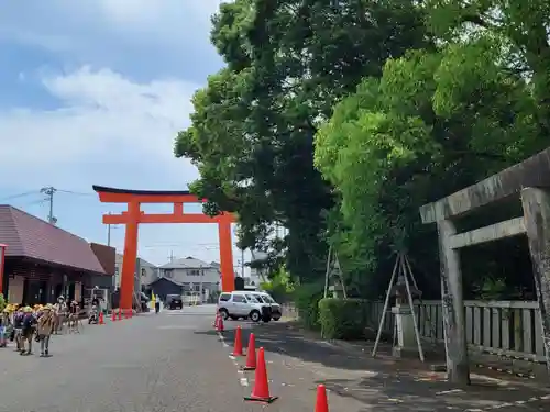 津島神社の鳥居