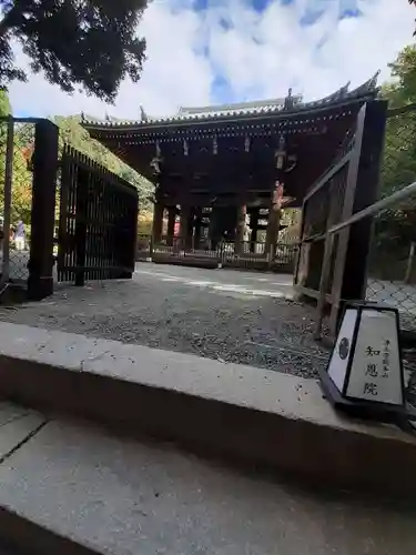 知恩院(京都府)