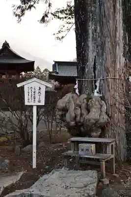 中禅寺(栃木県)