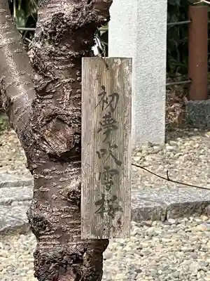 櫻木神社(千葉県)