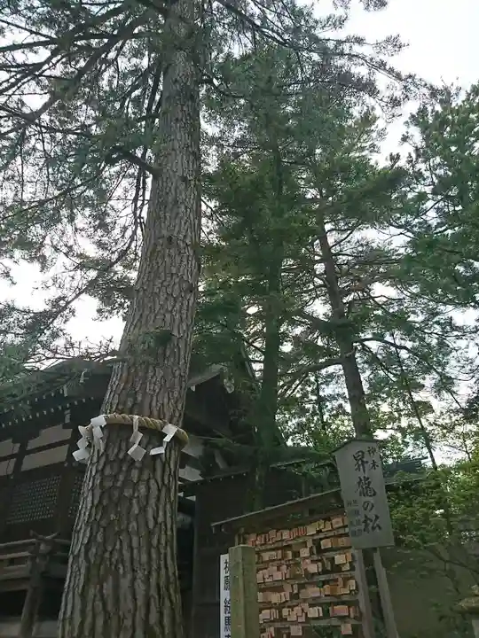 菟橋神社の自然
