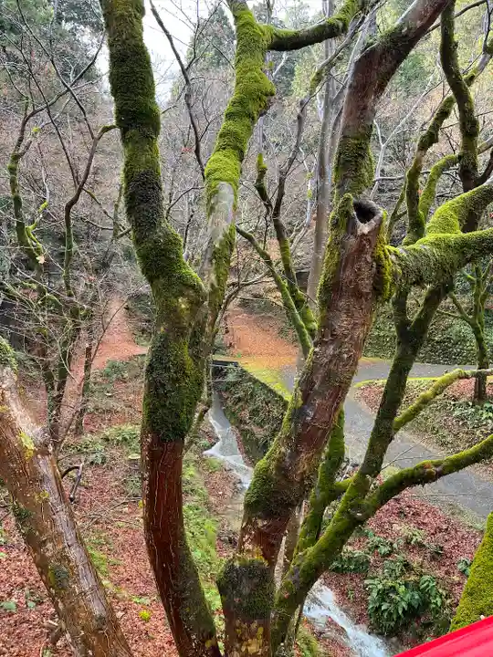 養父神社(兵庫県)