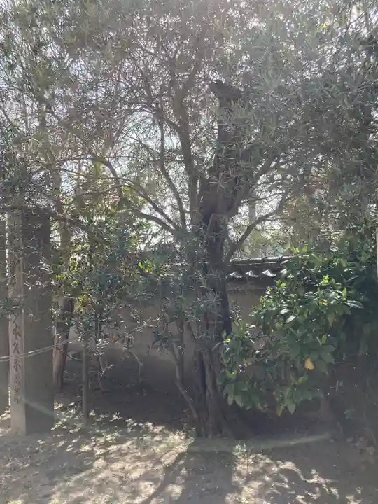 宝蔵寺のその他建物