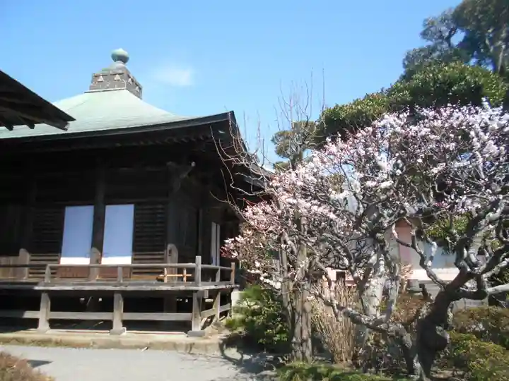 極楽寺(霊鷲山感應院極楽律寺)の庭園