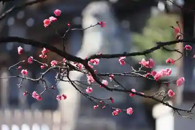 開成山大神宮の庭園