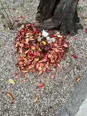 三輪神社の庭園