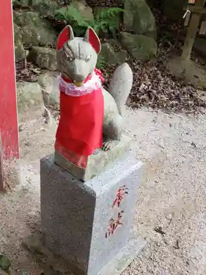 天開稲荷社の狛犬