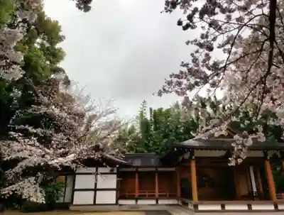 阿佐ヶ谷神明宮(東京都)