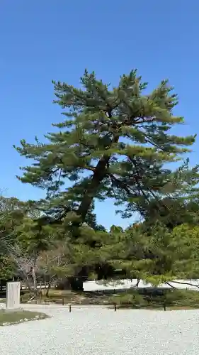 橿原神宮(奈良県)