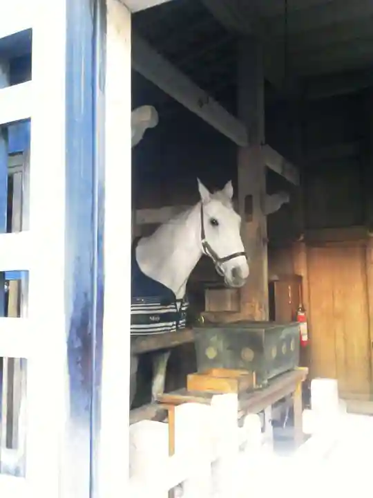 日光東照宮の動物