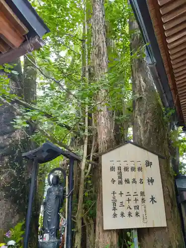 高塚愛宕地蔵尊(大分県)