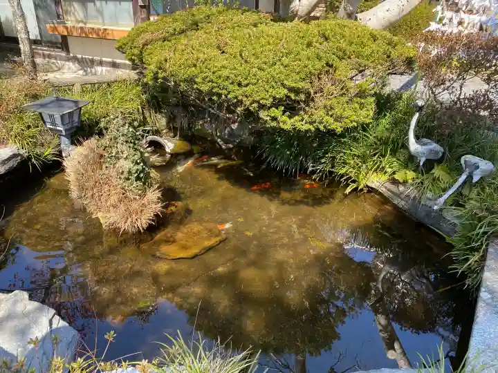 北野神社の{uncategorized: "未分類", other: "その他", undefined: "問題あり", building: "その他建物", grave: "お墓", sacred_gate: "鳥居", guardian: "狛犬", statue: "像", buddha: "仏像", history: "歴史", nature: "自然", garden: "庭園", animal: "動物", pagoda: "塔", temizu: "手水舎", mountain_gate: "山門・神門", sanctuary: "本殿・本堂", subordinate: "末社・摂社", art: "芸術", scenery: "景色", jizo: "地蔵", ema: "絵馬", goshuin: "御朱印", omikuji: "おみくじ", items: "授与品その他", amulet: "お守り", goshuincho: "御朱印帳", eats: "食事", festival: "お祭り", votive_dance: "神楽", shichigosan: "七五三参", wedding: "結婚式", experience: "体験その他", initially: "初詣", around: "周辺", anti_infection: "感染症対策"}