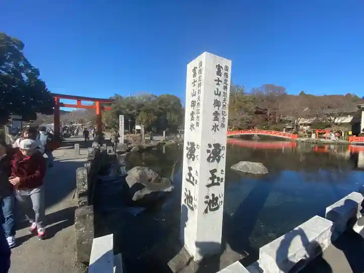 富士山本宮浅間大社(静岡県)