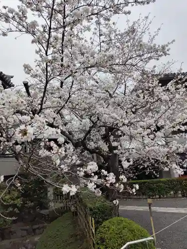 大雲院(京都府)