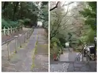 柞原八幡宮(大分県)