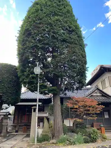 成就院（上寺）の自然