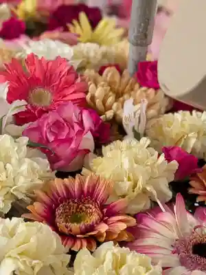 鳩森八幡神社(東京都)