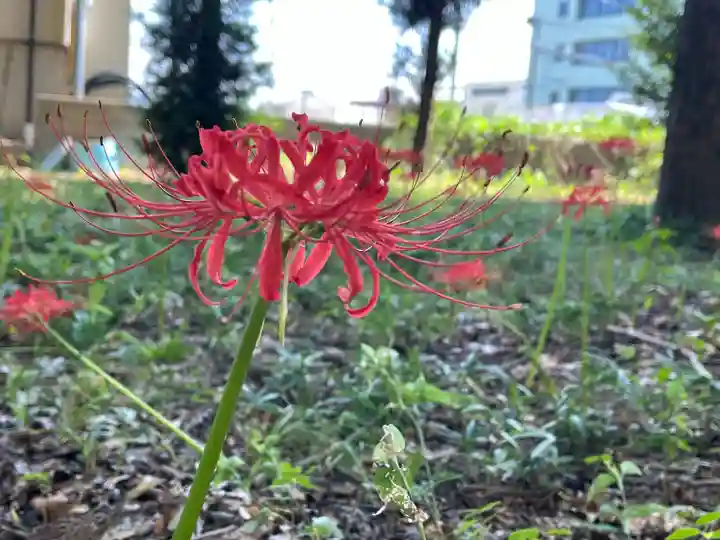 若宮八幡宮(京都府)