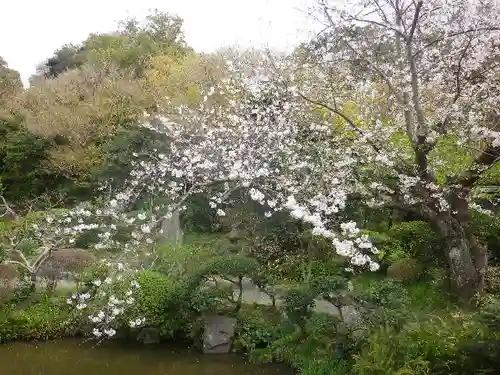 光明寺の庭園