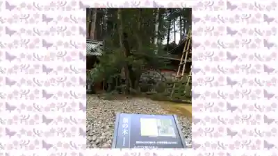 日光山輪王寺 大猷院(栃木県)