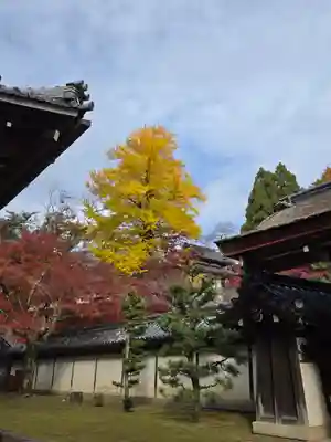 西教寺(滋賀県)