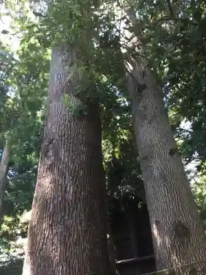 鶴嶺八幡宮のその他建物