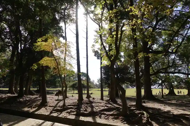 春日大社のその他建物