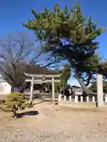 赤城神社の鳥居