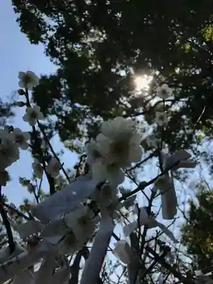 駛馬天満宮(福岡県)