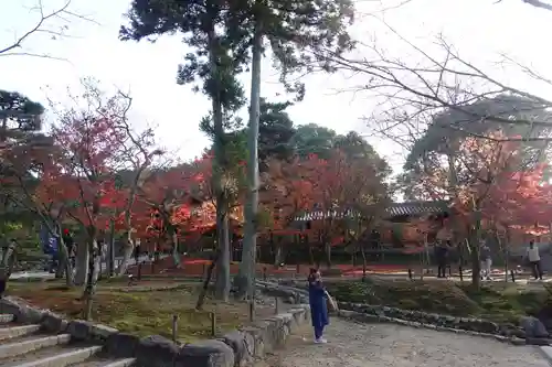 東福禅寺（東福寺）(京都府)