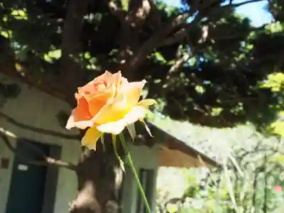 明月院(神奈川県)