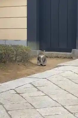 寛永寺(根本中堂)の{uncategorized: "未分類", other: "その他", undefined: "問題あり", building: "その他建物", grave: "お墓", sacred_gate: "鳥居", guardian: "狛犬", statue: "像", buddha: "仏像", history: "歴史", nature: "自然", garden: "庭園", animal: "動物", pagoda: "塔", temizu: "手水舎", mountain_gate: "山門・神門", sanctuary: "本殿・本堂", subordinate: "末社・摂社", art: "芸術", scenery: "景色", jizo: "地蔵", ema: "絵馬", goshuin: "御朱印", omikuji: "おみくじ", items: "授与品その他", amulet: "お守り", goshuincho: "御朱印帳", eats: "食事", festival: "お祭り", votive_dance: "神楽", shichigosan: "七五三参", wedding: "結婚式", experience: "体験その他", initially: "初詣", around: "周辺", anti_infection: "感染症対策"}