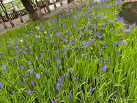 菅原神社(岡山県)