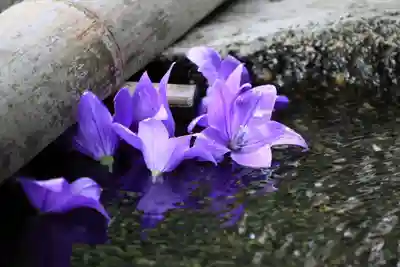 鹿島大神宮の手水舎