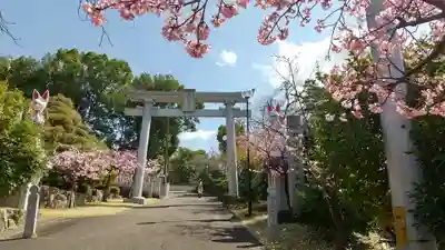 満福寺(三好稲荷閣)の鳥居